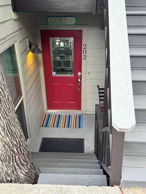 Spring Creek Dr, Austin, TX 78704 photo 53