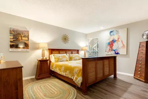 Spring Creek Dr, Austin, TX 78704 photo 44