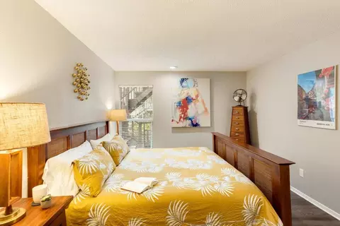 Spring Creek Dr, Austin, TX 78704 photo 43