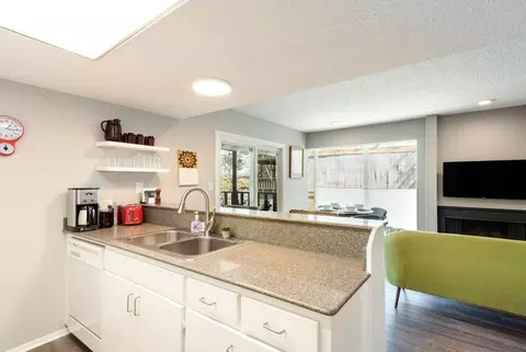 Spring Creek Dr, Austin, TX 78704 photo 37