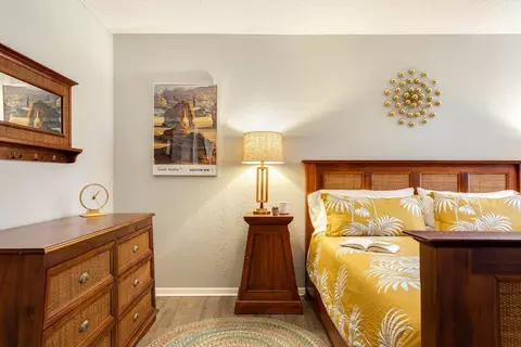 Spring Creek Dr, Austin, TX 78704 photo 42