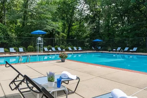 13178 Larchdale Rd, South Laurel, MD 20708 photo 24