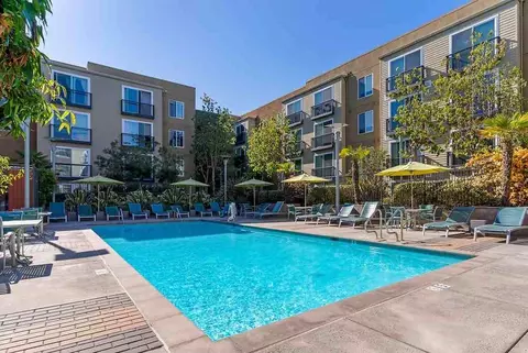 299 W Washington Ave, Sunnyvale, CA 94086 photo 6