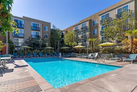299 W Washington Ave, Sunnyvale, CA 94086 photo 6