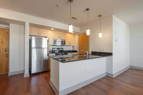 30 Franklin St, Petersburg, VA 23803