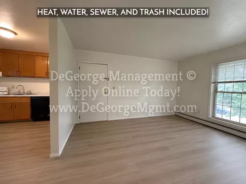 280 Fall St, Seneca Falls, NY 13148 photo 23