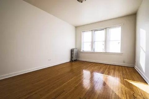 7419 S Phillips Ave, Chicago, IL 60649 photo 4