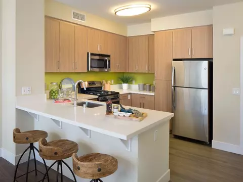 701 Breeze Hill Rd, Vista, CA 92081 photo 50