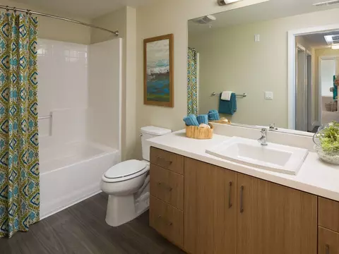 701 Breeze Hill Rd, Vista, CA 92081 photo 53