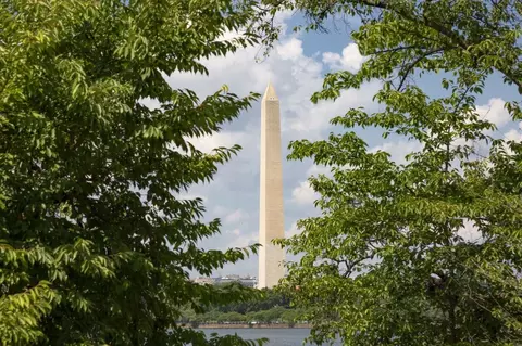 1345 S Capitol St SW, Washington, DC 20003 photo 35