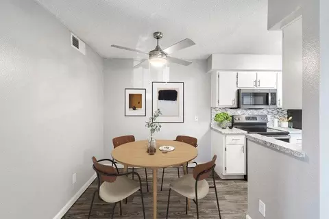 450 W Cool Dr, Oro Valley, AZ 85704 photo 7