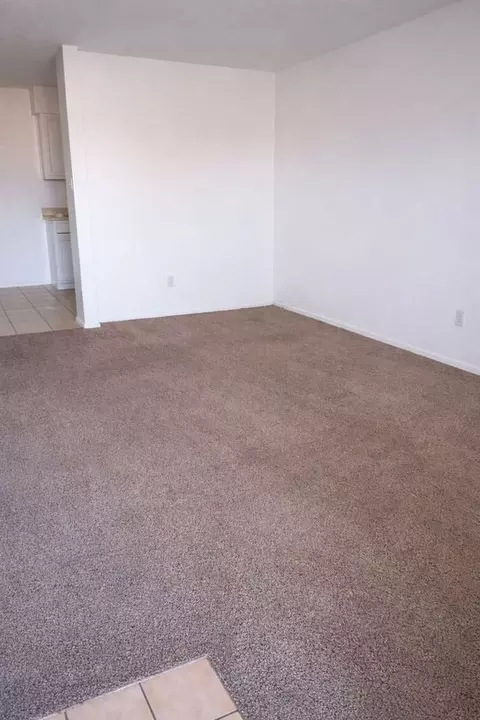 802 Matthew St, Sundown, TX 79372 photo 12