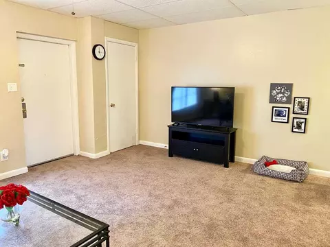 502 W Jefferson St, Tallahassee, FL 32301 photo 3