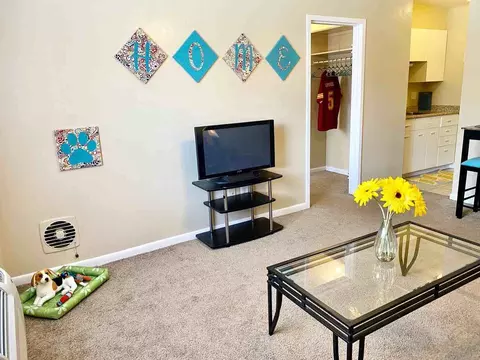 502 W Jefferson St, Tallahassee, FL 32301 photo 18