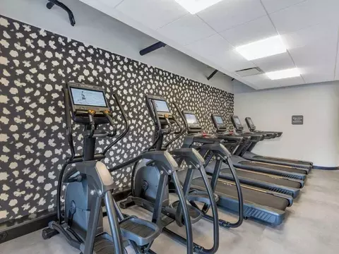 4650 Washington Blvd, Arlington, VA 22201 photo 16