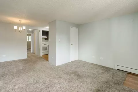 9700 W 51st Pl, Arvada, CO 80002 photo 11