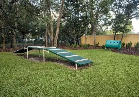 826 Milano Cir, Brandon, FL 33511 photo 21
