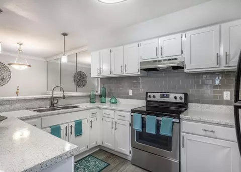 25650 Interstate 45, Spring, TX 77386 photo 16