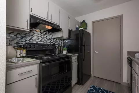 1516 Arbor Town Cir, Arlington, TX 76011 photo 54