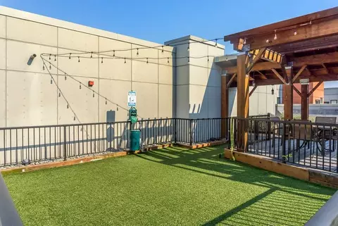 523 Broadway E, Seattle, WA 98102 photo 18