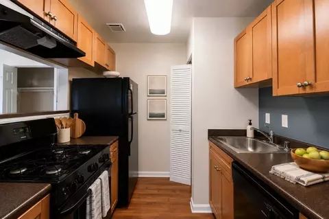 13178 Larchdale Rd, South Laurel, MD 20708 photo 5
