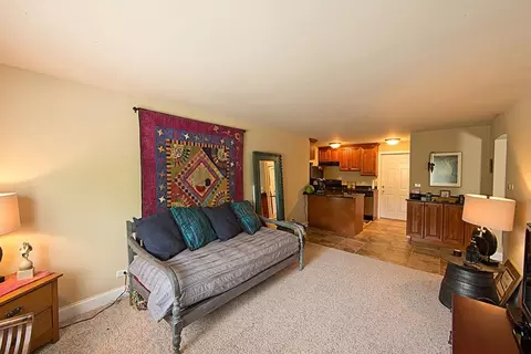 10301034 College Ave, Wheaton, IL 60187 photo 4