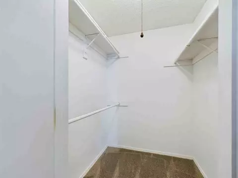 175 N Locust Hill Dr, Lexington, KY 40509 photo 68