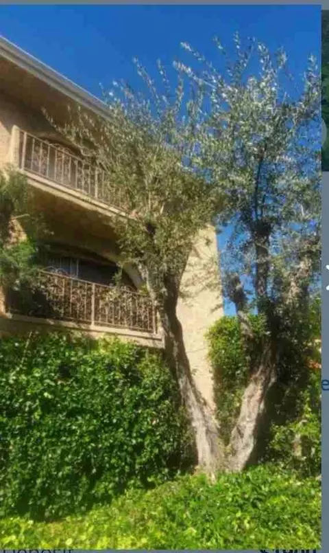 5227 Hermitage Ave, Los Angeles, CA 91607