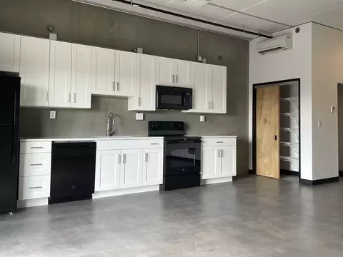 525 E Ransom St, Kalamazoo, MI 49007 photo 2