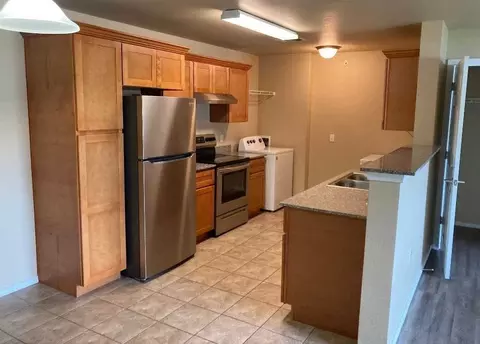 200 Buzz St, Branson, MO 65616 photo 5