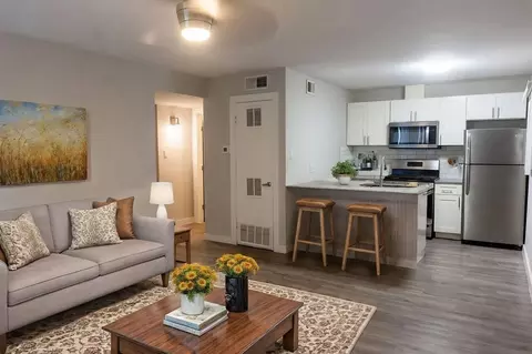803 Tirado St, Austin, TX 78752 photo 7