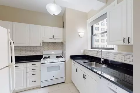 1642 E 56th St, Chicago, IL 60637