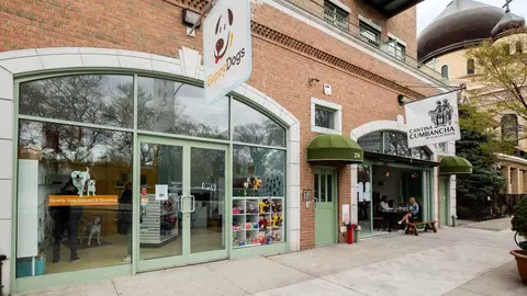 239 N 9th St, Brooklyn, NY 11211 photo 49