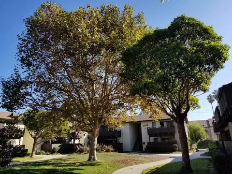 701 Aster St, Oxnard, CA 93036 photo 6
