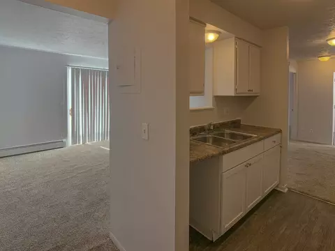 1001 W Cavanaugh Rd, Lansing, MI 48910 photo 24