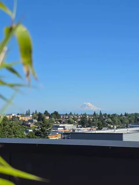 4205 SW Genesee St, Seattle, WA 98116 photo 36