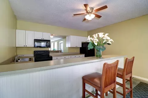 11311 N 22nd St, Tampa, FL 33612 photo 8
