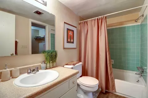 11311 N 22nd St, Tampa, FL 33612 photo 22