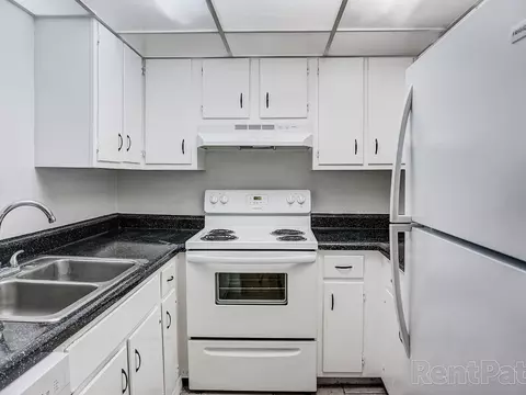 11311 N 22nd St, Tampa, FL 33612 photo 7