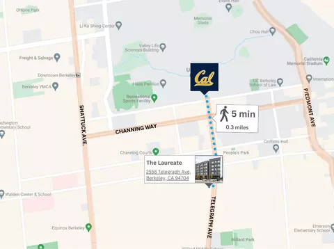 2556 Telegraph Ave, Berkeley, CA 94704 photo 48