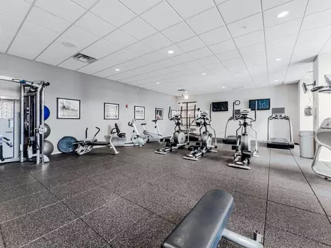 8 E 9th St, Chicago, IL 60605 photo 43