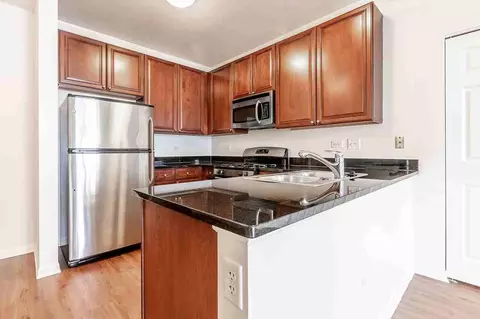8 E 9th St, Chicago, IL 60605 photo 29