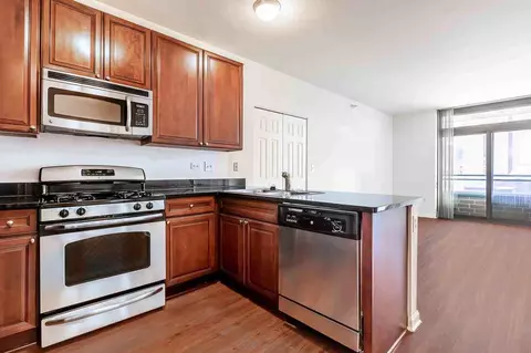 8 E 9th St, Chicago, IL 60605 photo 28