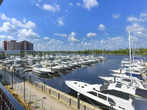 901 Nutt St, Wilmington, NC 28401 photo 16