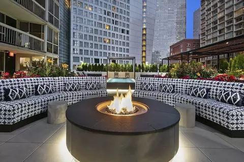 1 E Delaware Pl, Chicago, IL 60611 photo 25