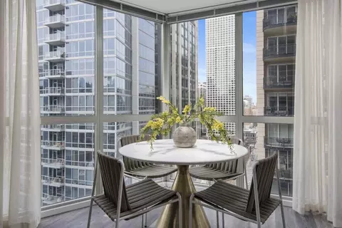 1 E Delaware Pl, Chicago, IL 60611 photo 5
