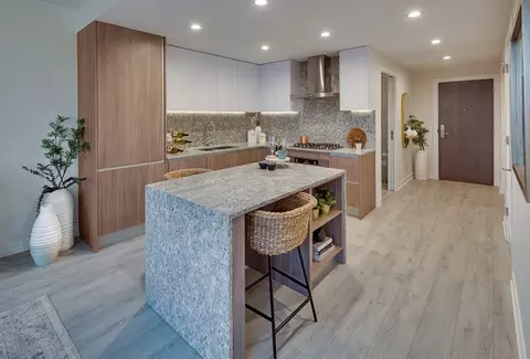 1140 N Wells St, Chicago, IL 60610 photo 13