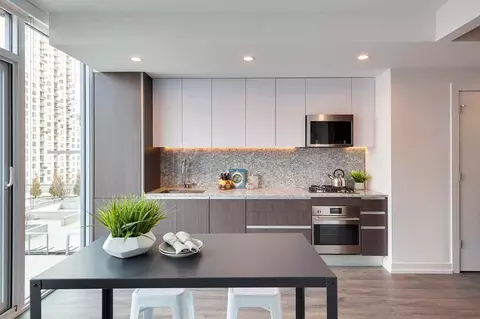1140 N Wells St, Chicago, IL 60610 photo 15