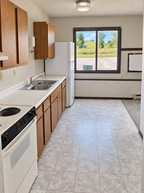 700 3rd St, Barrett, MN 56311 photo 5