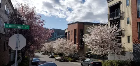 6855 N Burlington Ave, Portland, OR 97203